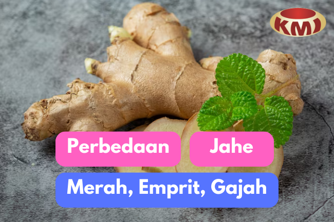 Manisnya Rasa Pedas: Mengupas Perbedaan Varian Jahe Merah, Jahe Emprit, dan Jahe Gajah